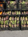 artichokes for sale in the open air vegetable market Royalty Free Stock Photo