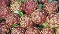 Artichokes for sale at vegetable market 10 Royalty Free Stock Photo