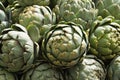 Artichokes in the sunshine Royalty Free Stock Photo