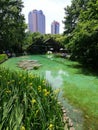 Article Lake at the Jiang An Park at Shanghai City China