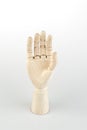 Articulated Wooden Hand Model