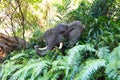 Artificial African Elephant Head Royalty Free Stock Photo