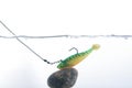 Artificial angling bait Royalty Free Stock Photo