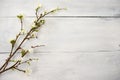 Artificial apple blossom on white wooden Royalty Free Stock Photo
