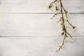 Artificial apple blossom on white wooden Royalty Free Stock Photo