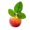 Artificial apple Royalty Free Stock Photo