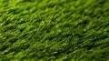 artificial astroturf texture