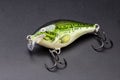 Artificial baits for catching of the predatory fishes on black background Royalty Free Stock Photo