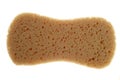 Artificial bath sponge texture for bathing Royalty Free Stock Photo