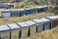 Artificial bee hives for the production of honey and royal jelly. Beekeeping