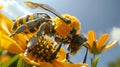 An artificial bee robot replacing real bees in the process of gathering precious pollen from a yellow flowers Royalty Free Stock Photo