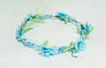 Artificial blue gypso, green leaves and blue flower crown isolated on white