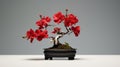 Hibiscus Bonsai Tree In Vase: Red Flowers And Branches On Grey Background Royalty Free Stock Photo