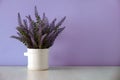 Lavender artificial flowers isolated on lilac background. copy space Royalty Free Stock Photo