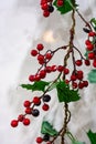 Artificial branch with red berries on a white background