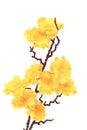 Artificial branch with yellow flowers.