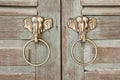 Artificial brass elephant handle on wooden window