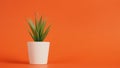 Artificial cactus plants or plastic or fake tree on orange background