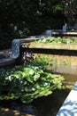 Artificial cascading waterfall with water lily leaves