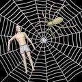 Artificial character in spiderweb - prey