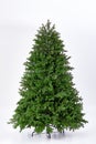 Artificial Christmas green tree without decorations on a metal stand isolated on a white background. Royalty Free Stock Photo