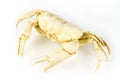 Artificial crab isolated on white background Royalty Free Stock Photo