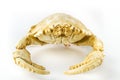 Artificial crab isolated on white background Royalty Free Stock Photo