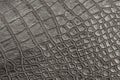 Artificial crocodile-like leather texture. Imitation of African animal skin for patterned background Royalty Free Stock Photo