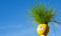 Artificial cute grass man and blue background