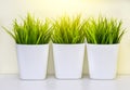 An artificial decorative grass in white plastic vase