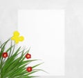 Artificial decorative green grass, red flowers, yellow butterfly with blank white paper card. Cute spring or summer frame Royalty Free Stock Photo