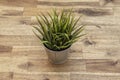 Artificial decorative plant with