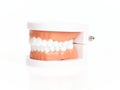 Artificial denture teeth over isolated white background