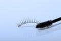 Artificial eyelashes isolated