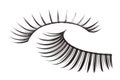 Artificial Eyelashes Isolated