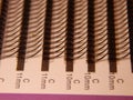 Artificial eyelashes up close (macro). Lying in their packaging and sorted by size