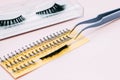 Artificial false fluffy eyelashes with tweezers. Royalty Free Stock Photo