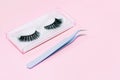 Artificial false fluffy eyelashes with tweezers. Royalty Free Stock Photo