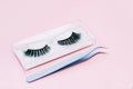 Artificial false fluffy eyelashes with tweezers. Royalty Free Stock Photo