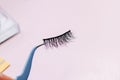 Artificial false fluffy eyelashes with tweezers. Royalty Free Stock Photo