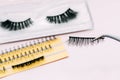 Artificial false fluffy eyelashes with tweezers. Royalty Free Stock Photo
