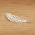 An artificial feather is placed on a light wooden surface. The feather is white, with Royalty Free Stock Photo