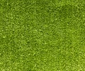 Artificial fiber carpet, green carpet pile