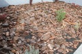 The artificial flower bed is lined with oak tree bark and green dead wood grass. Flower bed in the city Royalty Free Stock Photo