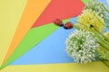 Artificial flower on orange, red, blue and green background give romantic look concept with two ladybird Royalty Free Stock Photo