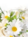 Artificial flowers Royalty Free Stock Photo