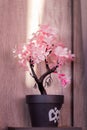 Artificial Flowers pink Bonsai Tree Royalty Free Stock Photo