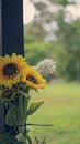 Artificial Flowers Zip Tied To A Post Royalty Free Stock Photo