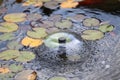 Artificial fountain in a small garden pond Royalty Free Stock Photo