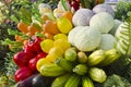 Artificial Fruit and vegetable. Royalty Free Stock Photo